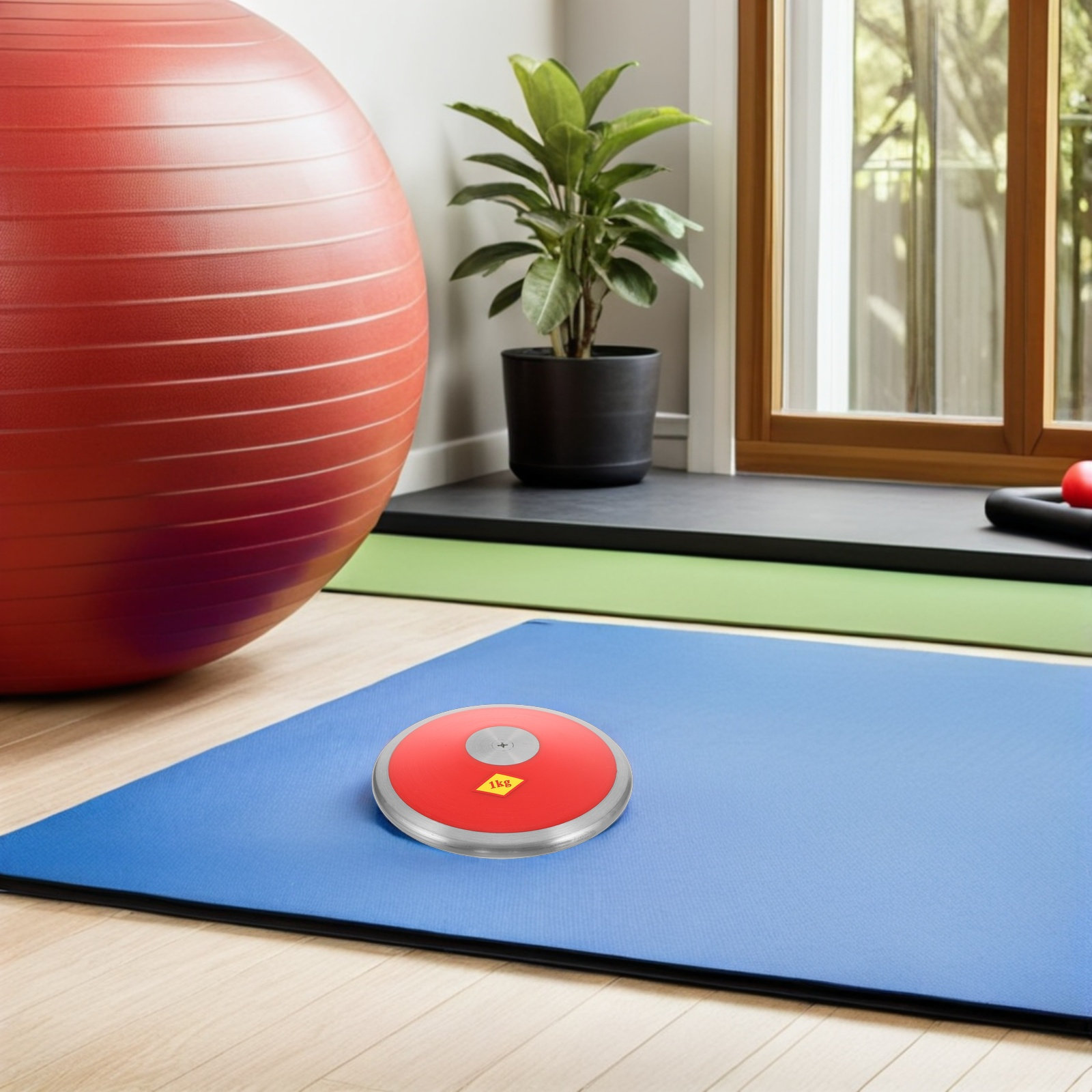 قرص تدريب من النايلون بوزن 1 ك - مراجعة Sports Equipment Training وسعره